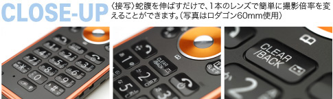 アオリ作例