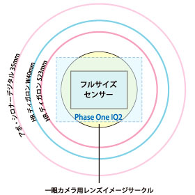 豊富なアオリ量