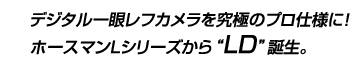 “LD”誕生