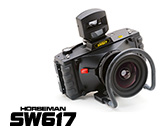 SW617